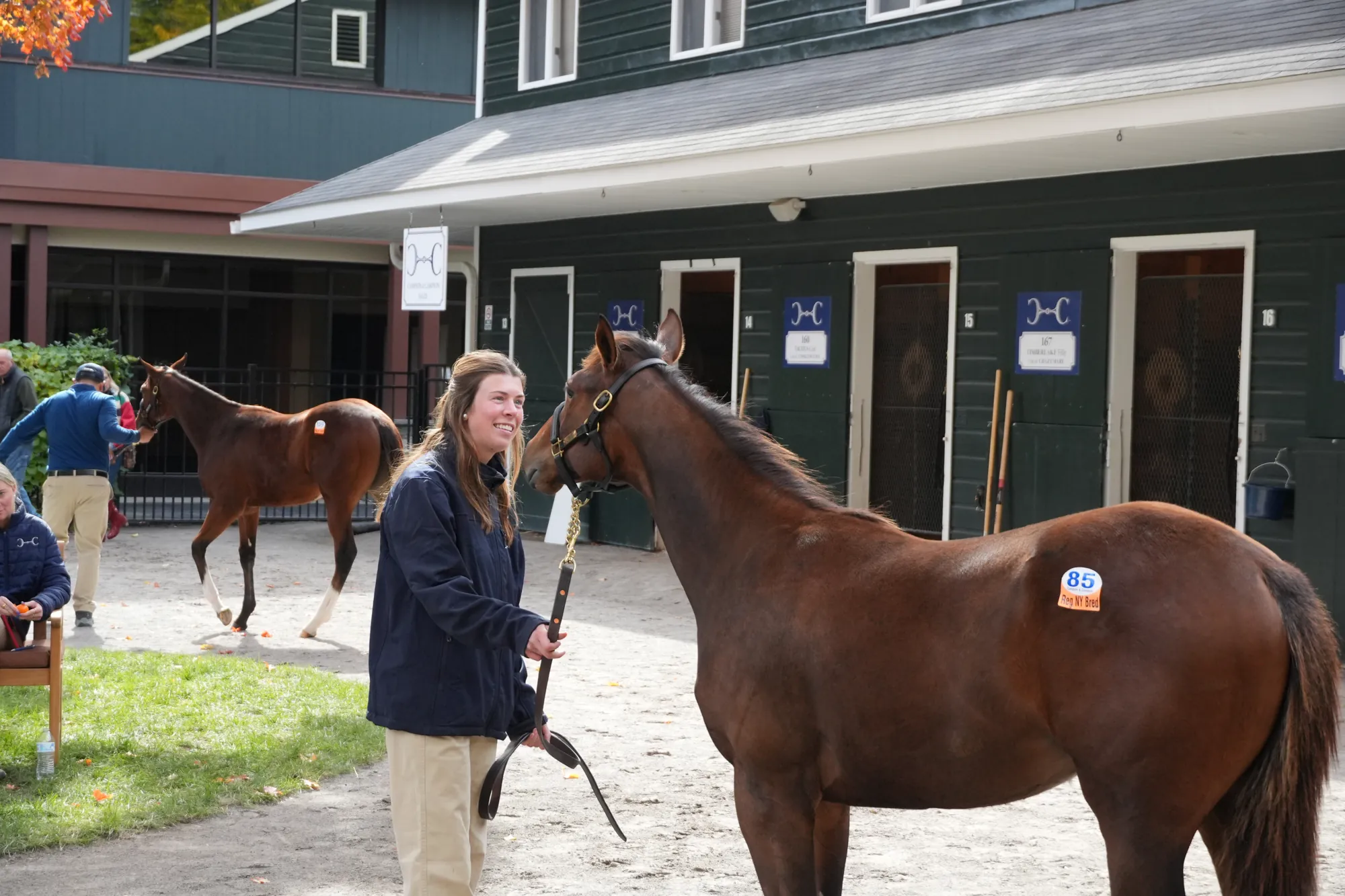 A Campion & Campion handler with a yearling at Saratoga