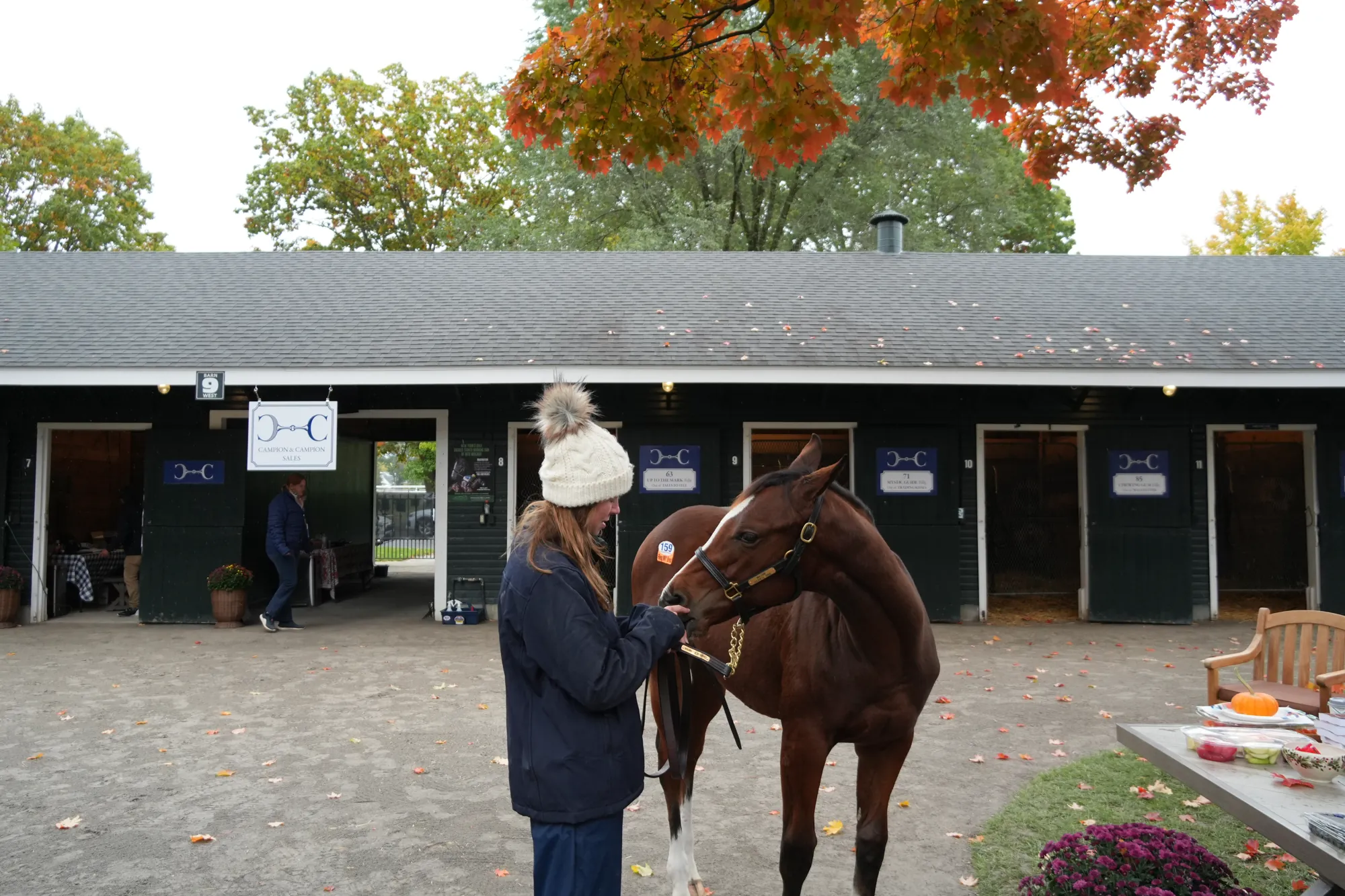 A Campion & Campion handler with a yearling at the Saratoga shedrow